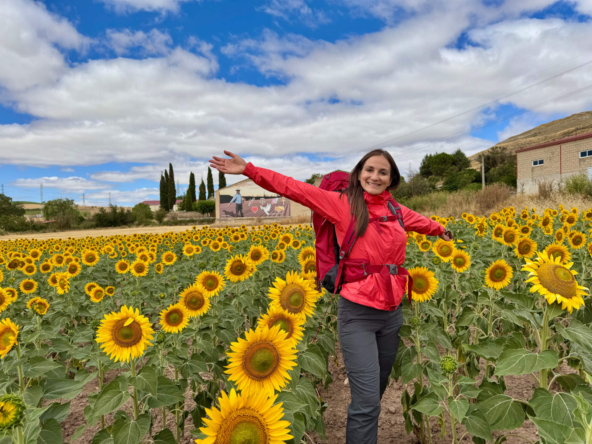 Cammino di Santiago 2026, a piedi Sarria-Santiago, 114 Km (Volo in autonomia)